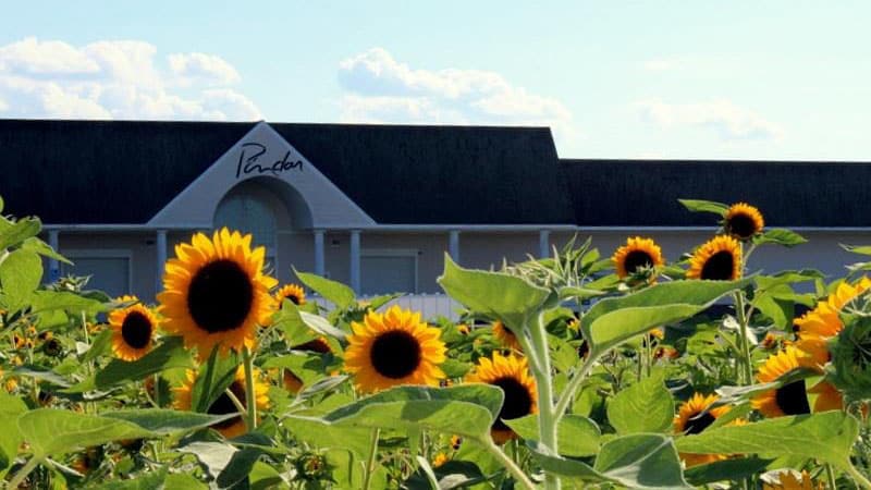 Saddle stiching services